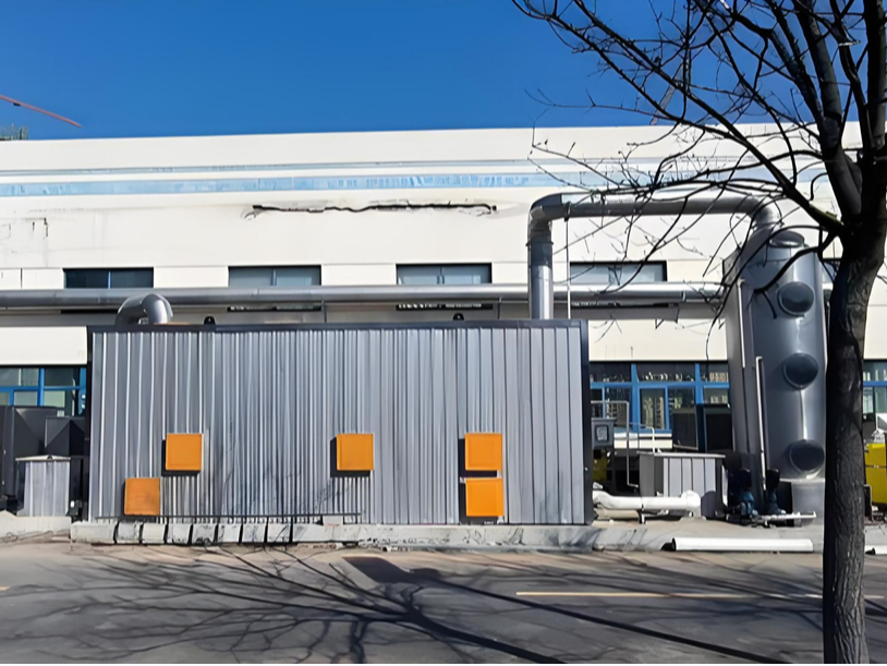 山東宏濟堂阿膠藥品廠高濃度惡臭氣體治理工程